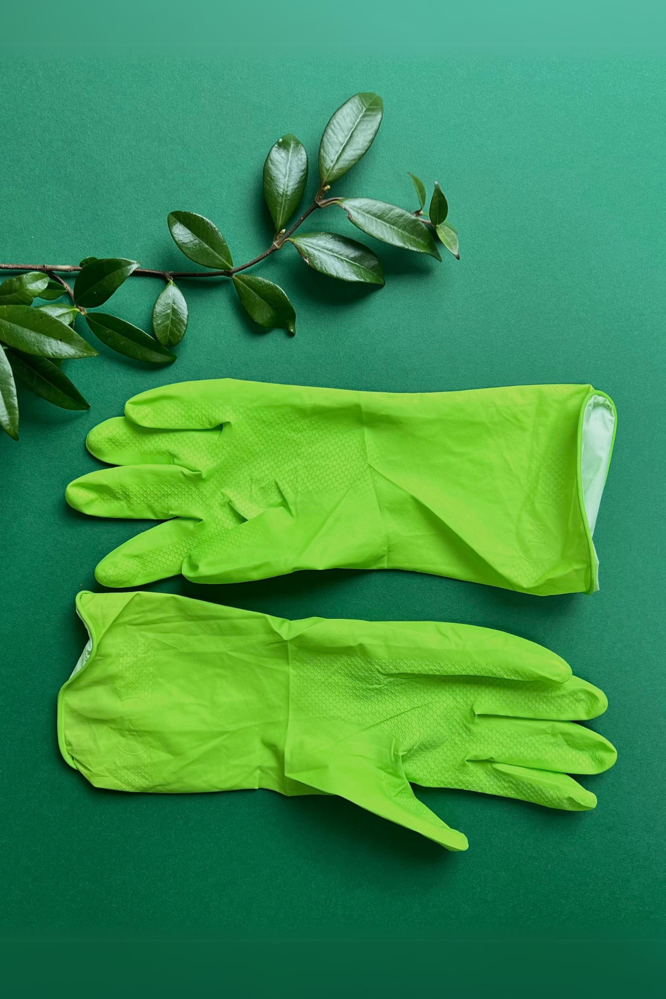 Reusable compostable hair dye gloves